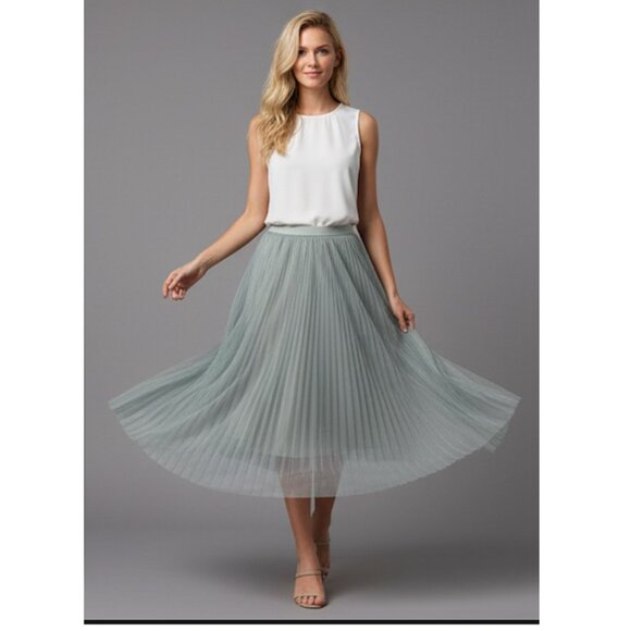 Light Grey Mesh Tulle Pleated Skirt - Picture 3 of 9